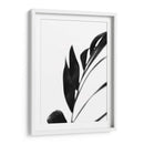 Palms Negros Iii - Renee W. Stramel | Cuadro decorativo de Canvas Lab