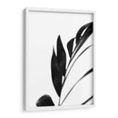 Palms Negros Iii - Renee W. Stramel | Cuadro decorativo de Canvas Lab