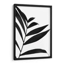 Palms Negros Iv - Renee W. Stramel | Cuadro decorativo de Canvas Lab