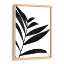 Palms Negros Iv - Renee W. Stramel | Cuadro decorativo de Canvas Lab