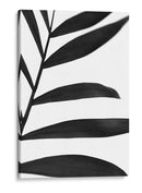 Palms Negros V - Renee W. Stramel | Cuadro decorativo de Canvas Lab