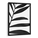 Palms Negros V - Renee W. Stramel | Cuadro decorativo de Canvas Lab