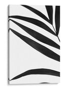 Palms Negros Vi - Renee W. Stramel | Cuadro decorativo de Canvas Lab