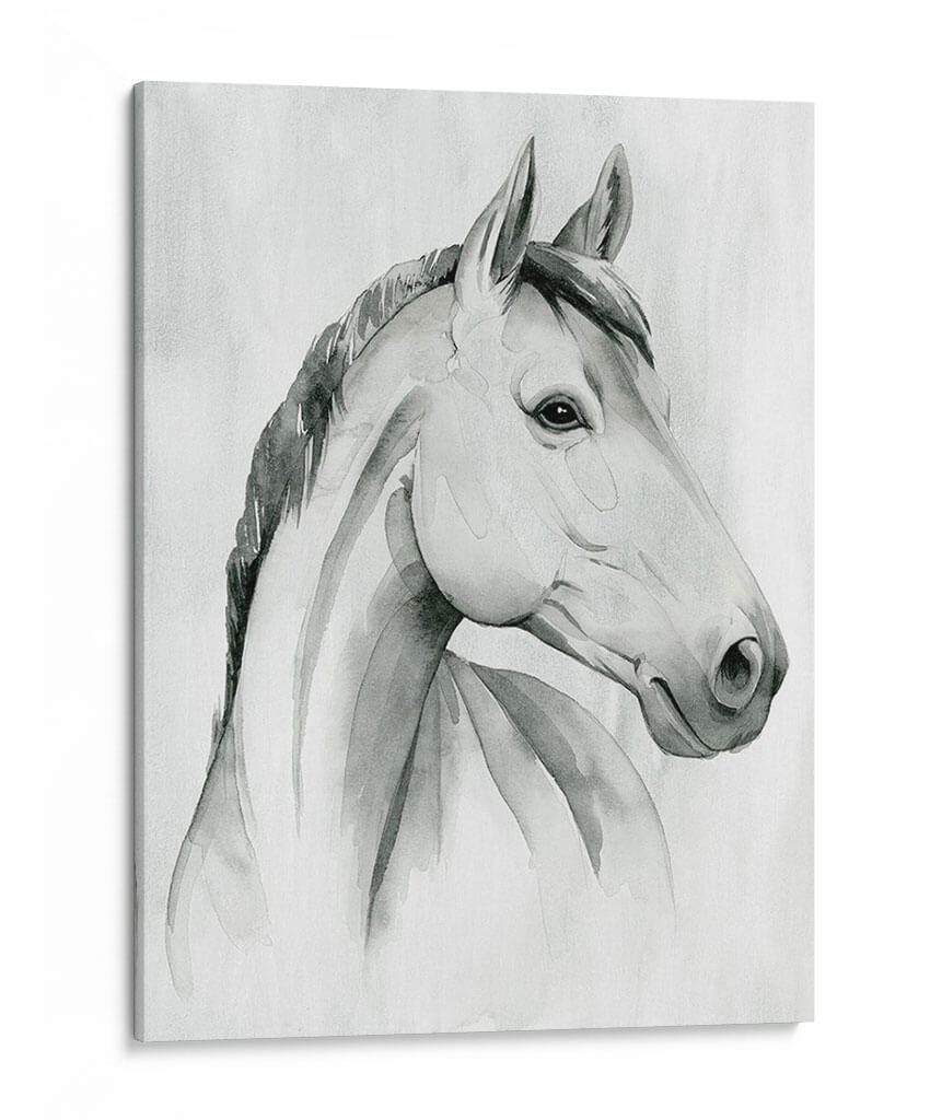 Gelding Silver I - Grace Popp | Cuadro decorativo de Canvas Lab