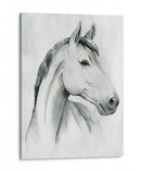 Gelding Silver I - Grace Popp | Cuadro decorativo de Canvas Lab