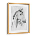 Gelding Silver I - Grace Popp | Cuadro decorativo de Canvas Lab