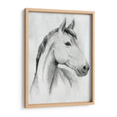 Gelding Silver I - Grace Popp | Cuadro decorativo de Canvas Lab