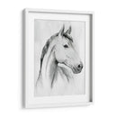 Gelding Silver I - Grace Popp | Cuadro decorativo de Canvas Lab