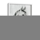Gelding Silver I - Grace Popp | Cuadro decorativo de Canvas Lab