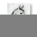 Gelding Silver I - Grace Popp | Cuadro decorativo de Canvas Lab