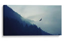 Águila en la niebla | Cuadro decorativo de Canvas Lab
