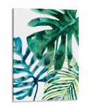 Hoja Tropical Medley Iii - June Erica Vess | Cuadro decorativo de Canvas Lab