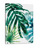 Hoja Tropical Medley Iv - June Erica Vess | Cuadro decorativo de Canvas Lab