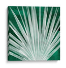 Velvet Palm I - Grace Popp | Cuadro decorativo de Canvas Lab