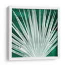 Velvet Palm I - Grace Popp | Cuadro decorativo de Canvas Lab