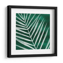 Velvet Palm Iii - Grace Popp | Cuadro decorativo de Canvas Lab
