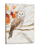 Cosecha Búho I - Victoria Borges | Cuadro decorativo de Canvas Lab