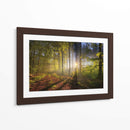 El sol entre el bosque | Cuadro decorativo de Canvas Lab