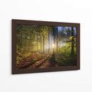 El sol entre el bosque | Cuadro decorativo de Canvas Lab