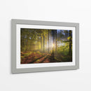 El sol entre el bosque | Cuadro decorativo de Canvas Lab