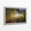 El sol entre el bosque | Cuadro decorativo de Canvas Lab
