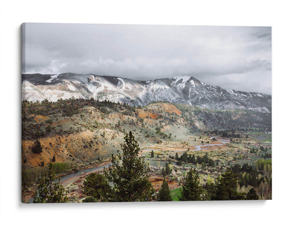 Ilustración de pinos en la montaña | Cuadro decorativo de Canvas Lab