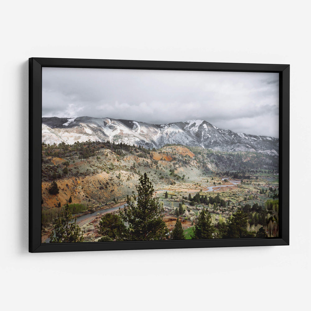 Ilustración de pinos en la montaña | Cuadro decorativo de Canvas Lab