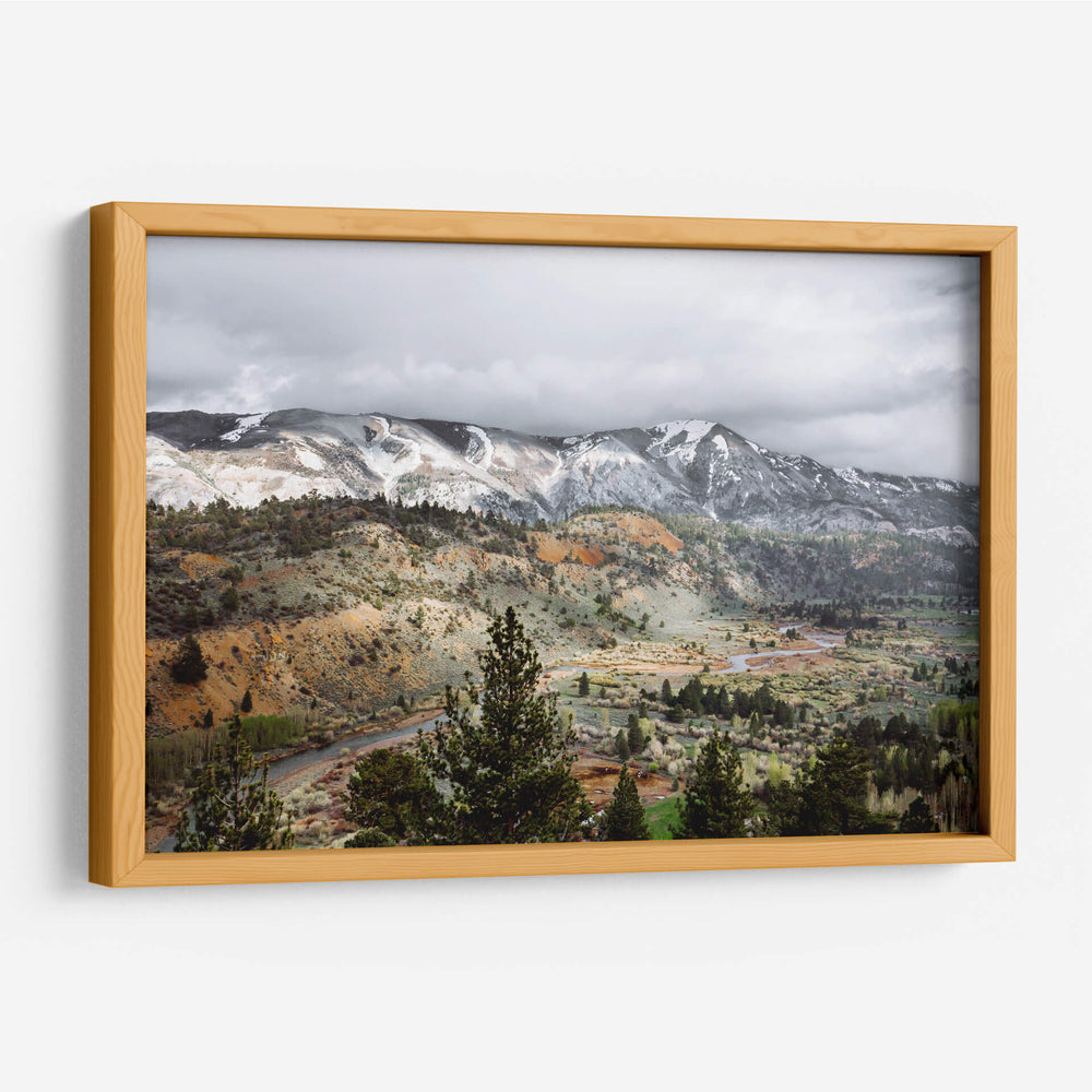 Ilustración de pinos en la montaña | Cuadro decorativo de Canvas Lab