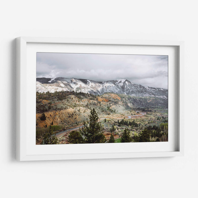 Ilustración de pinos en la montaña | Cuadro decorativo de Canvas Lab