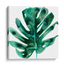 Joya Tropical Ii - June Erica Vess | Cuadro decorativo de Canvas Lab