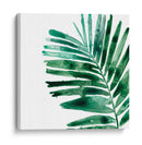 Joya Tropical Vii - June Erica Vess | Cuadro decorativo de Canvas Lab