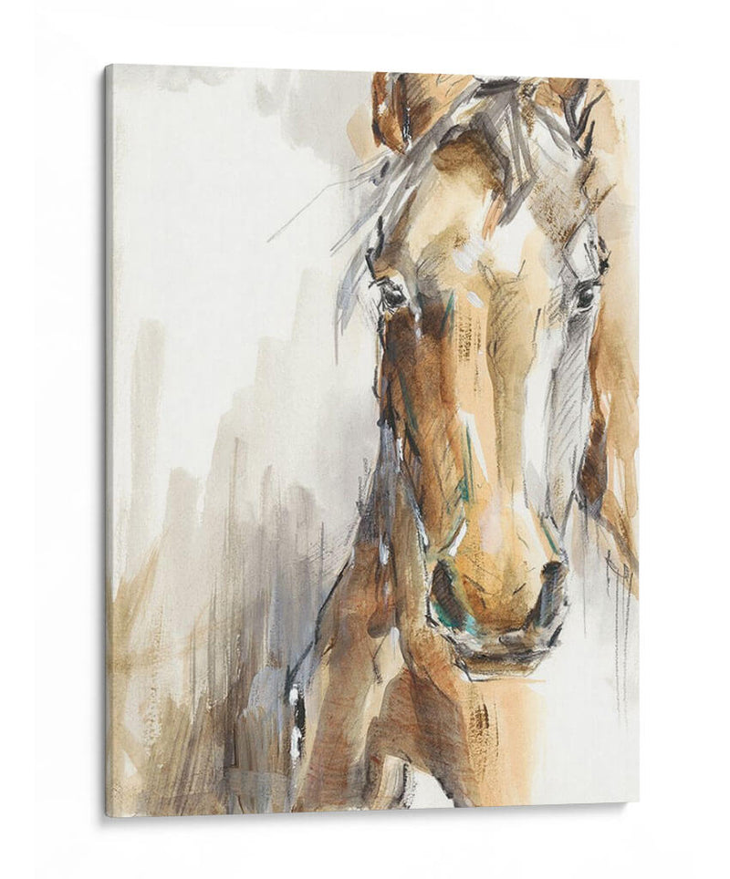 Caballo De Regalo I - Ethan Harper | Cuadro decorativo de Canvas Lab