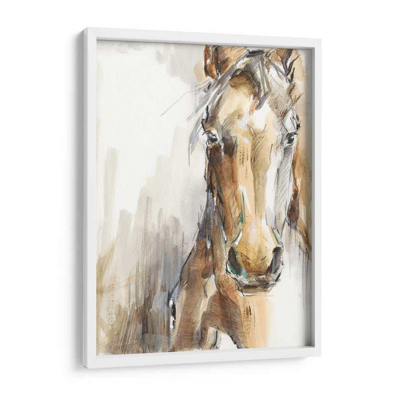 Caballo De Regalo I - Ethan Harper | Cuadro decorativo de Canvas Lab