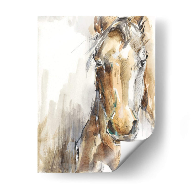 Caballo De Regalo I - Ethan Harper | Cuadro decorativo de Canvas Lab