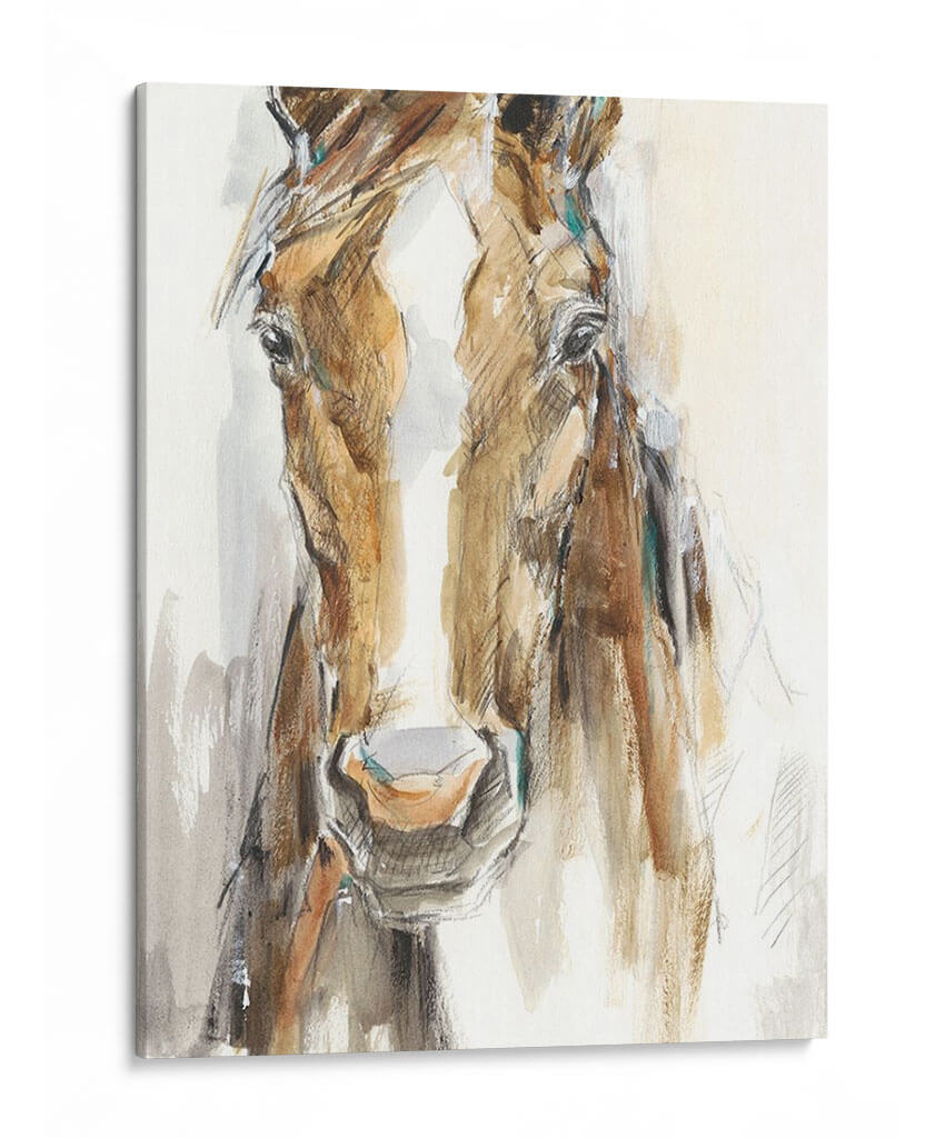 Caballo De Regalo Ii - Ethan Harper | Cuadro decorativo de Canvas Lab