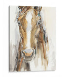 Caballo De Regalo Ii - Ethan Harper | Cuadro decorativo de Canvas Lab