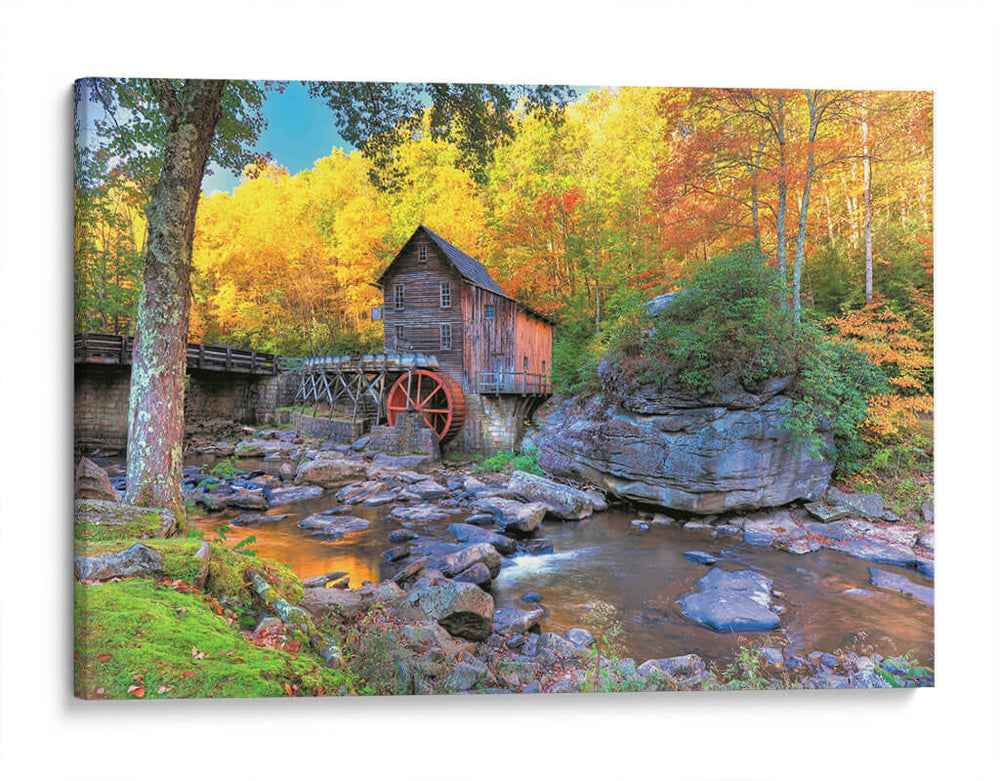 Naturaleza en West Virginia | Cuadro decorativo de Canvas Lab
