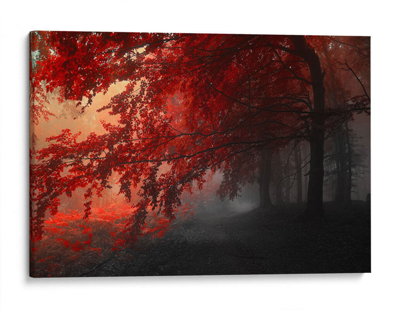 Otoño rojo | Cuadro decorativo de Canvas Lab