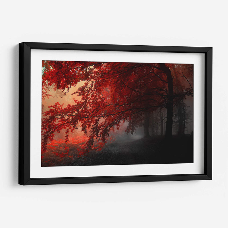 Otoño rojo | Cuadro decorativo de Canvas Lab