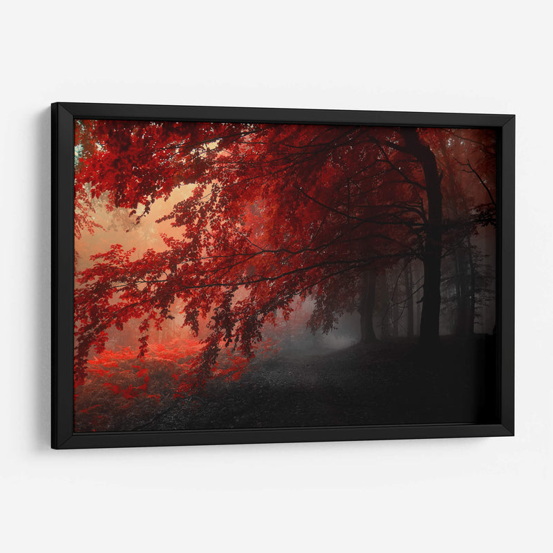 Otoño rojo | Cuadro decorativo de Canvas Lab