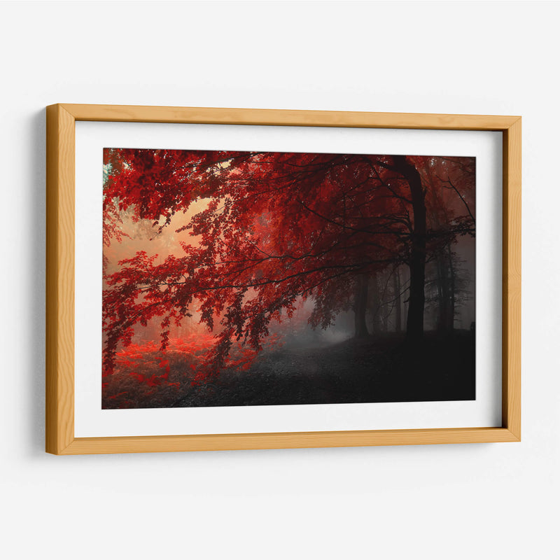 Otoño rojo | Cuadro decorativo de Canvas Lab