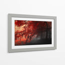 Otoño rojo | Cuadro decorativo de Canvas Lab