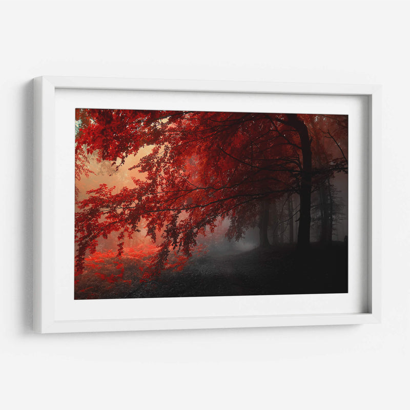 Otoño rojo | Cuadro decorativo de Canvas Lab