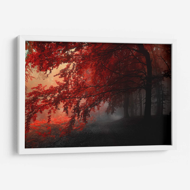 Otoño rojo | Cuadro decorativo de Canvas Lab