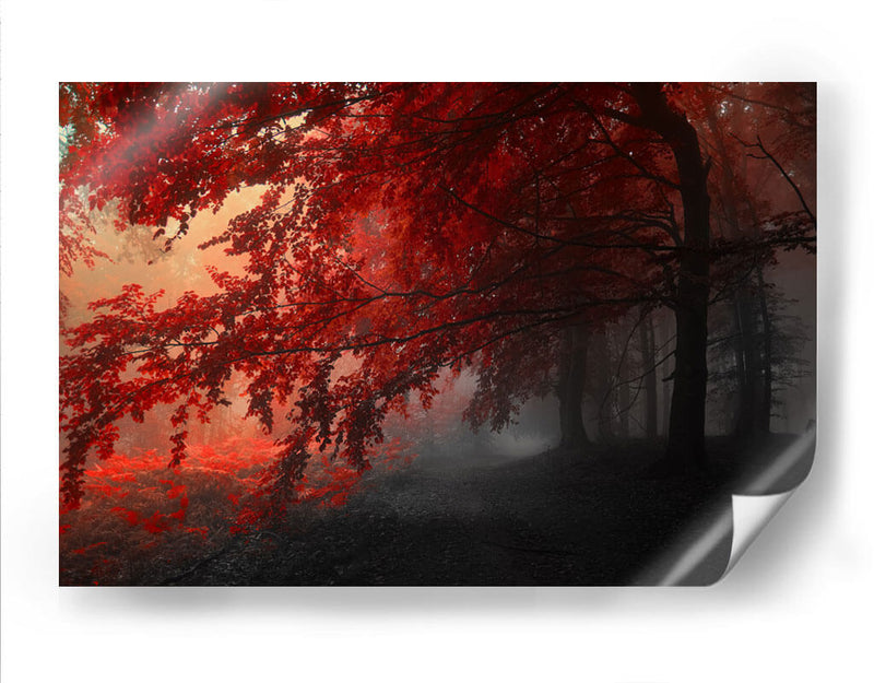 Otoño rojo | Cuadro decorativo de Canvas Lab