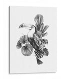 Toucan Toile I - Emma Scarvey | Cuadro decorativo de Canvas Lab