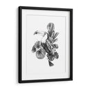 Toucan Toile I - Emma Scarvey | Cuadro decorativo de Canvas Lab