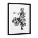 Toucan Toile I - Emma Scarvey | Cuadro decorativo de Canvas Lab