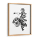 Toucan Toile I - Emma Scarvey | Cuadro decorativo de Canvas Lab