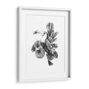 Toucan Toile I - Emma Scarvey | Cuadro decorativo de Canvas Lab